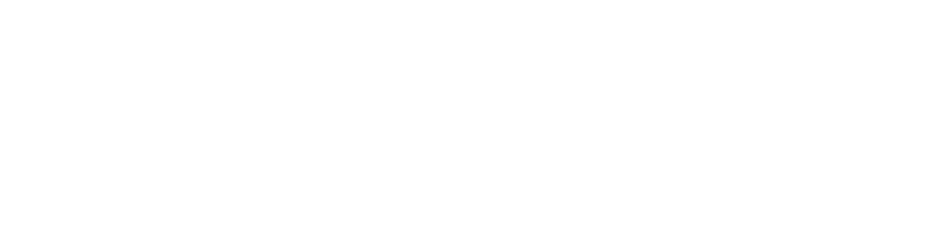 Nasuniverse on the Road: Chicago